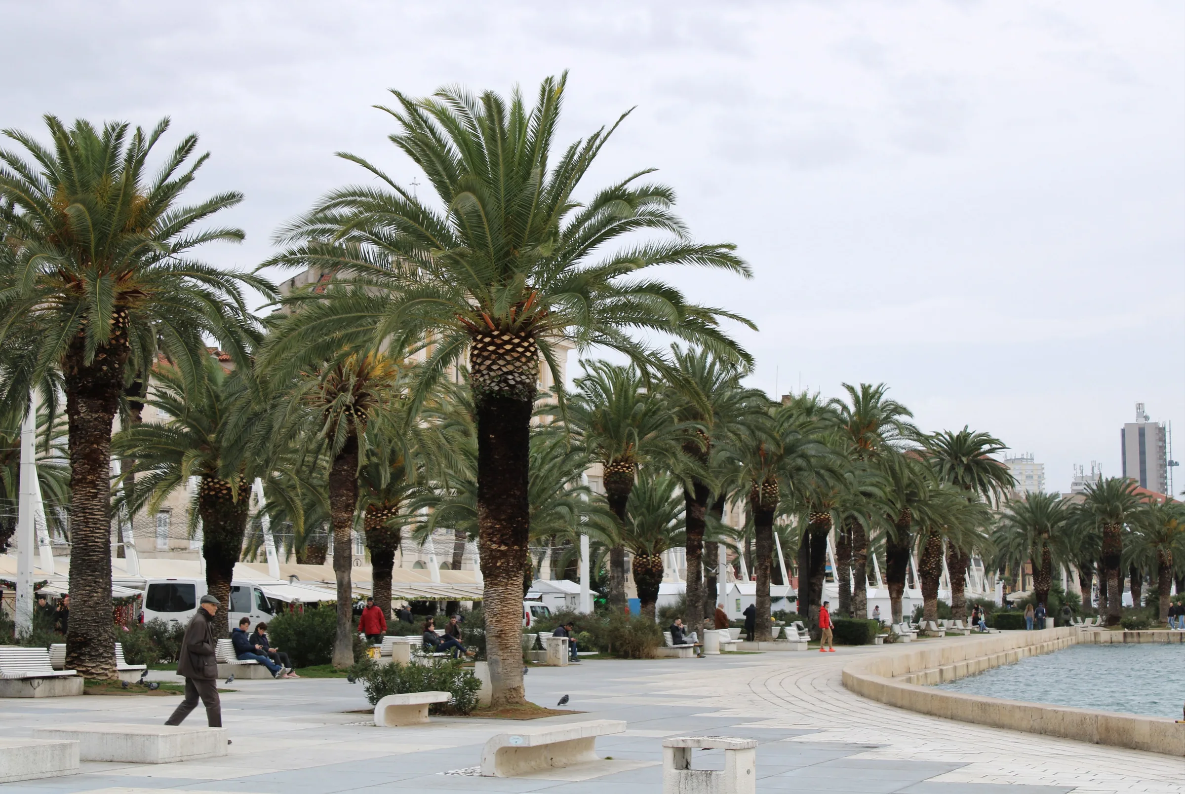 Palm-lined waterfront path in Split